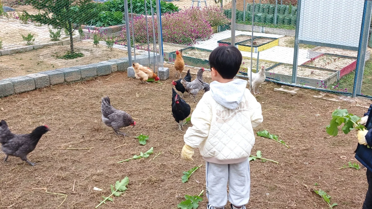 즐기는 방법 2 이미지 2