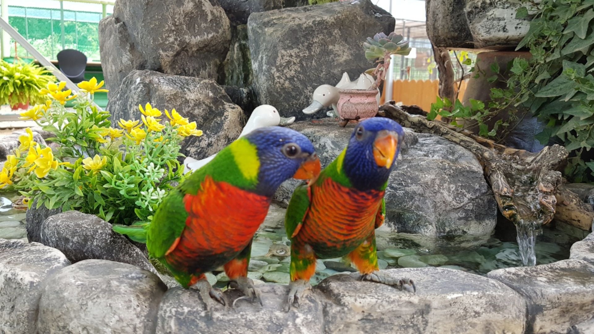 PICK 포인트 1 이미지 3
