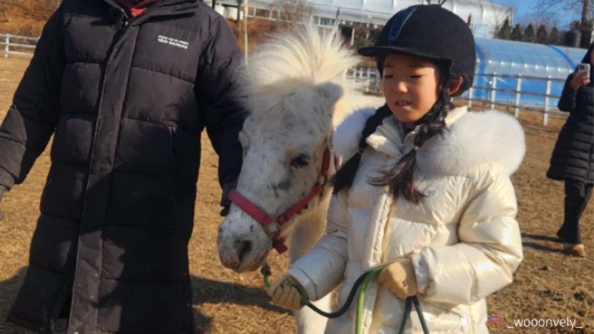 즐기는 방법 2 이미지 2