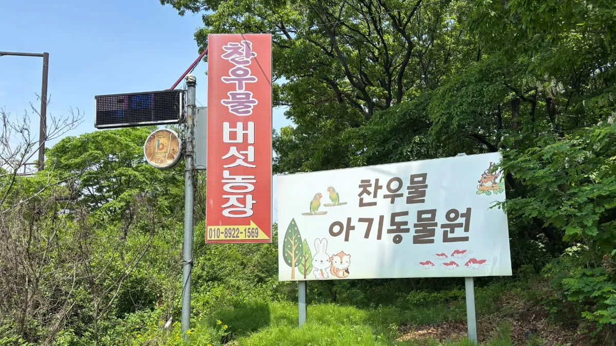PICK 포인트 4 이미지 1