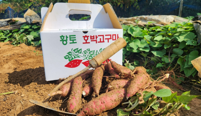 PICK 포인트 1 이미지 1