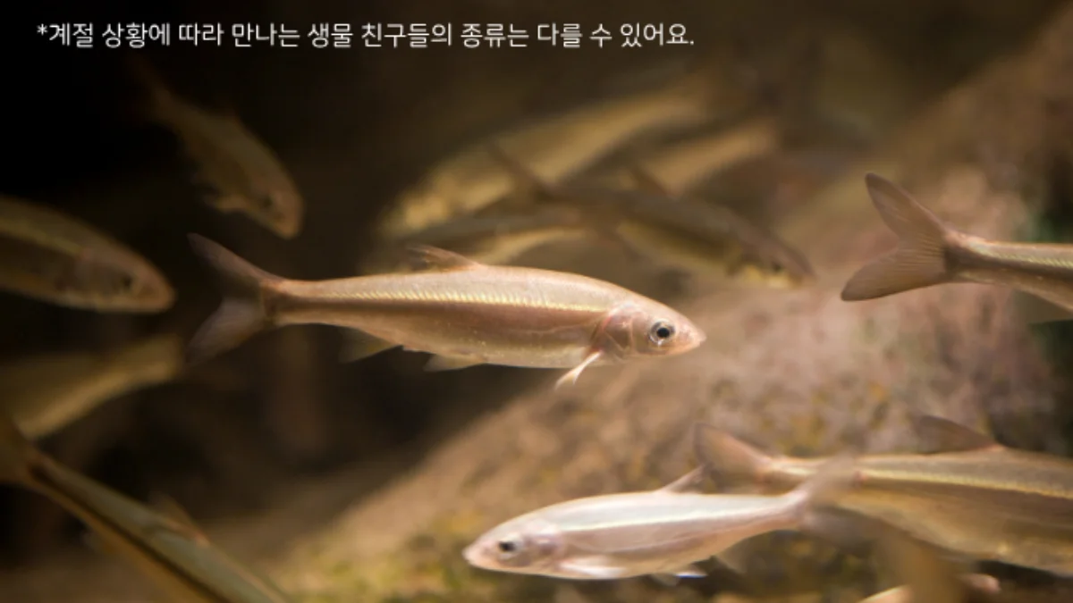 즐기는 방법 2 이미지 2