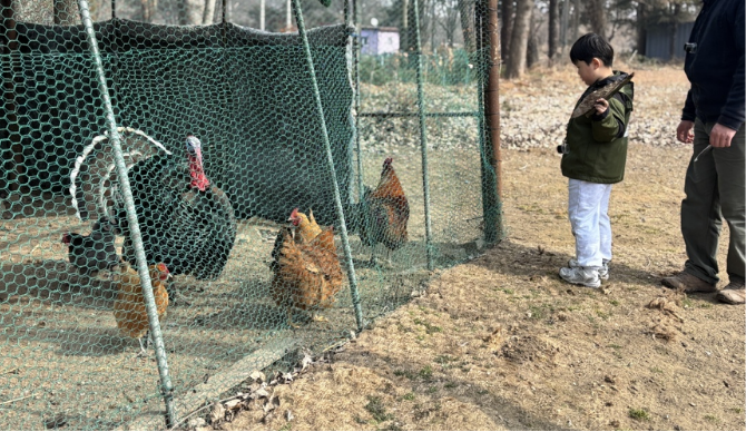 즐기는 방법 2 이미지 1