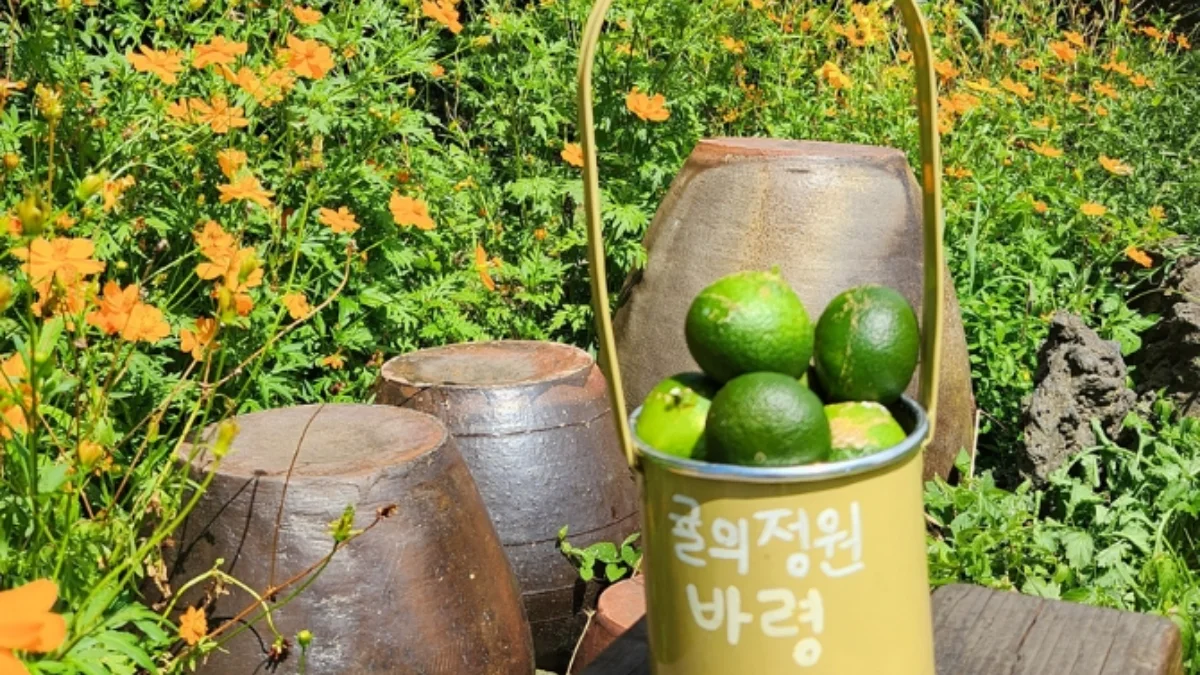 즐기는 방법 5 이미지 2
