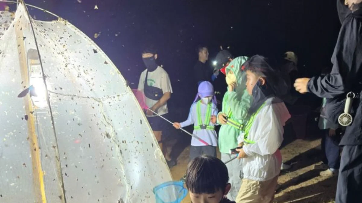 즐기는 방법 6 이미지 1
