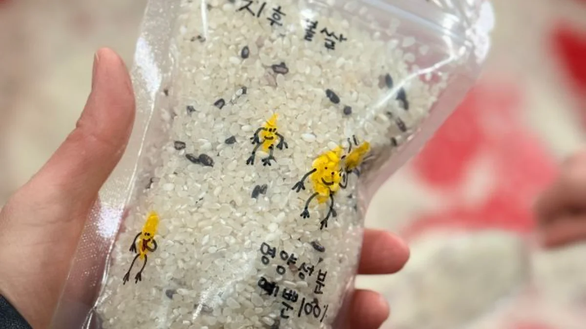 즐기는 방법 6 이미지 2