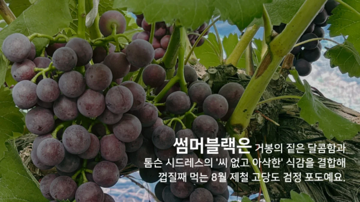 PICK 포인트 1 이미지 1