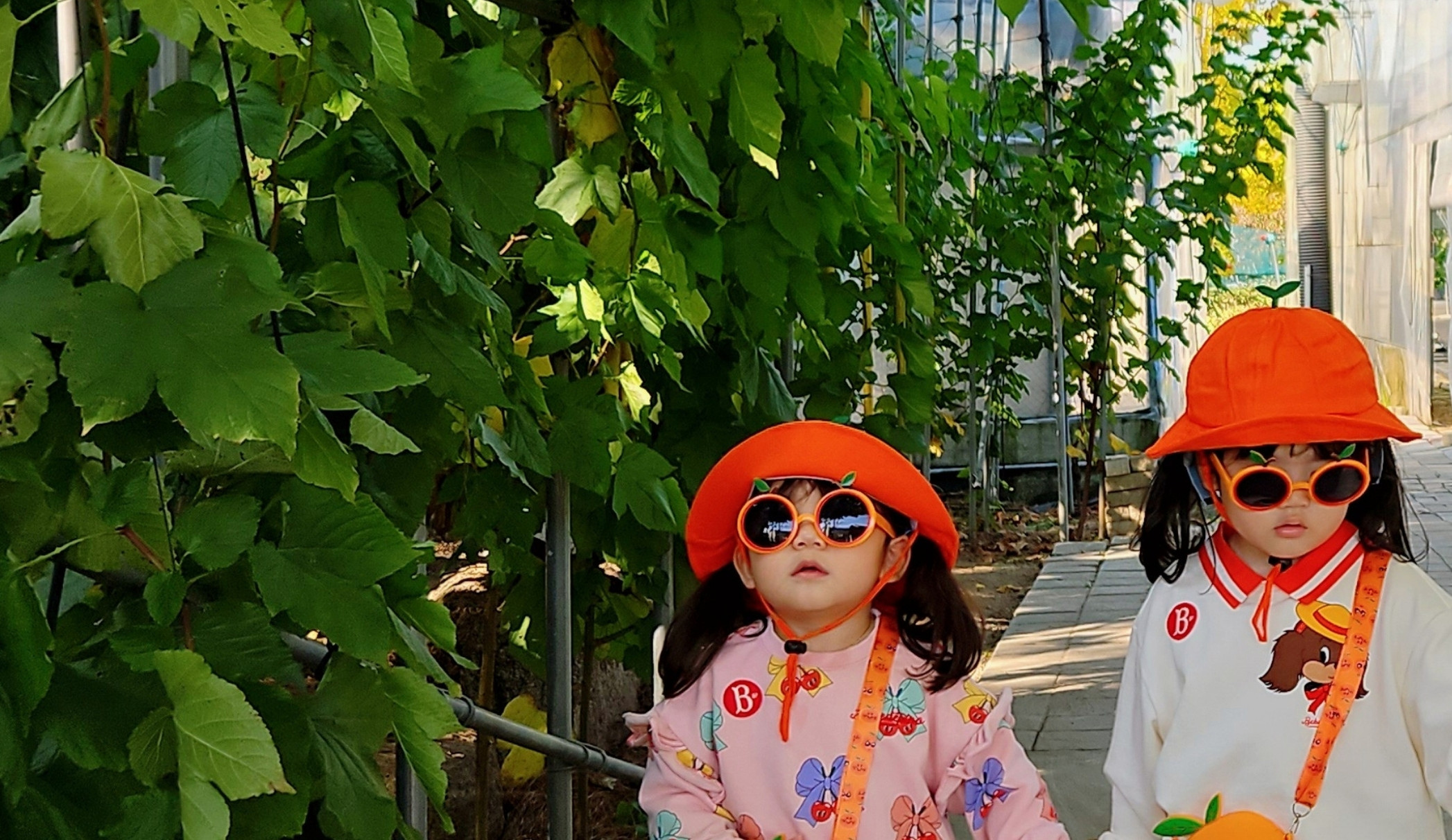 2인 기본권🍊 / 50,000원