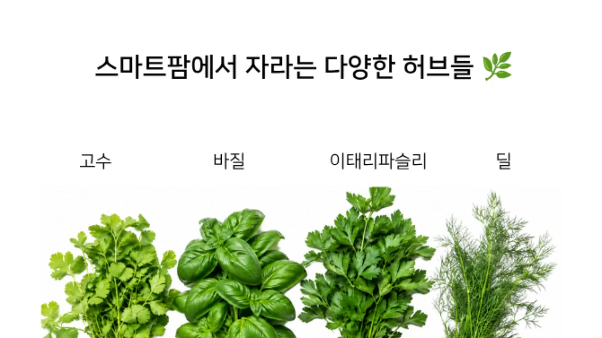 PICK 포인트 2 이미지 2