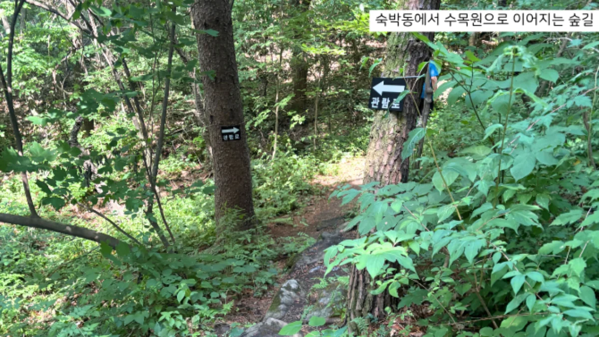 즐기는 방법 1 이미지 3