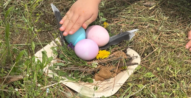 [🐣Making Bird Eggs & Nests] 어린이 체험권 1인 / 60,000원