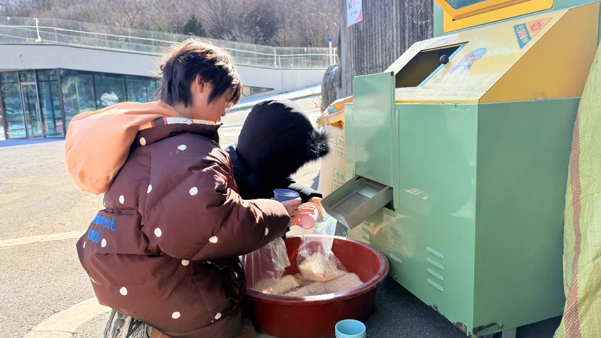 즐기는 방법 2 이미지 2
