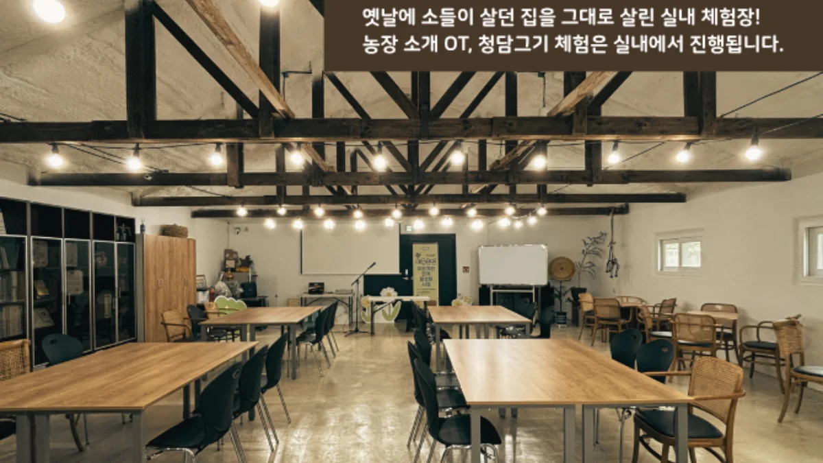 PICK 포인트 3 이미지 4