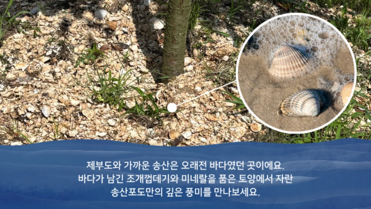 PICK 포인트 2 이미지 2