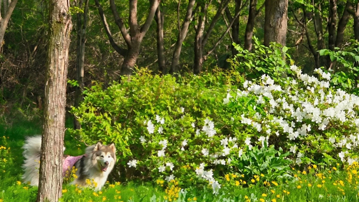 즐기는 방법 3 이미지 3