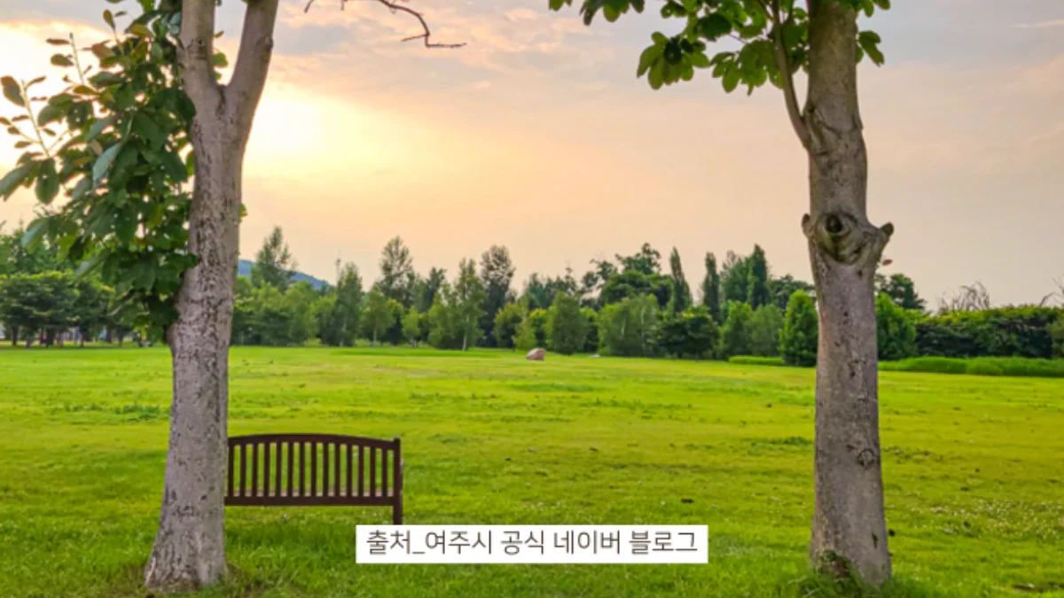 즐기는 방법 3 이미지 1