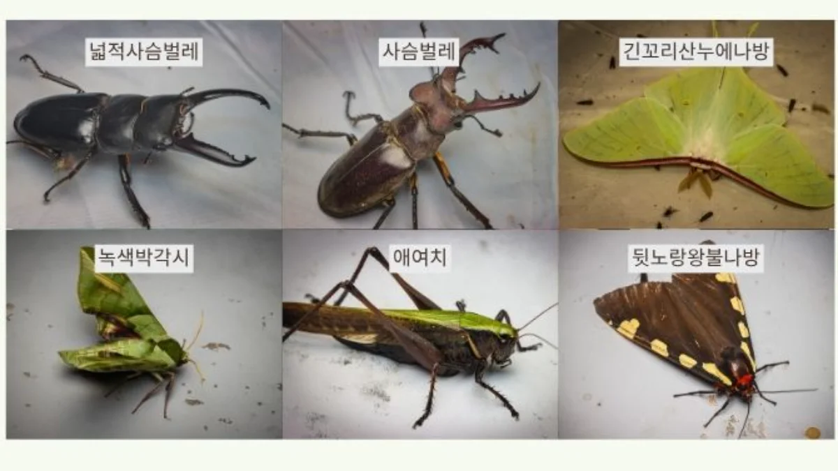 PICK 포인트 6 이미지 1