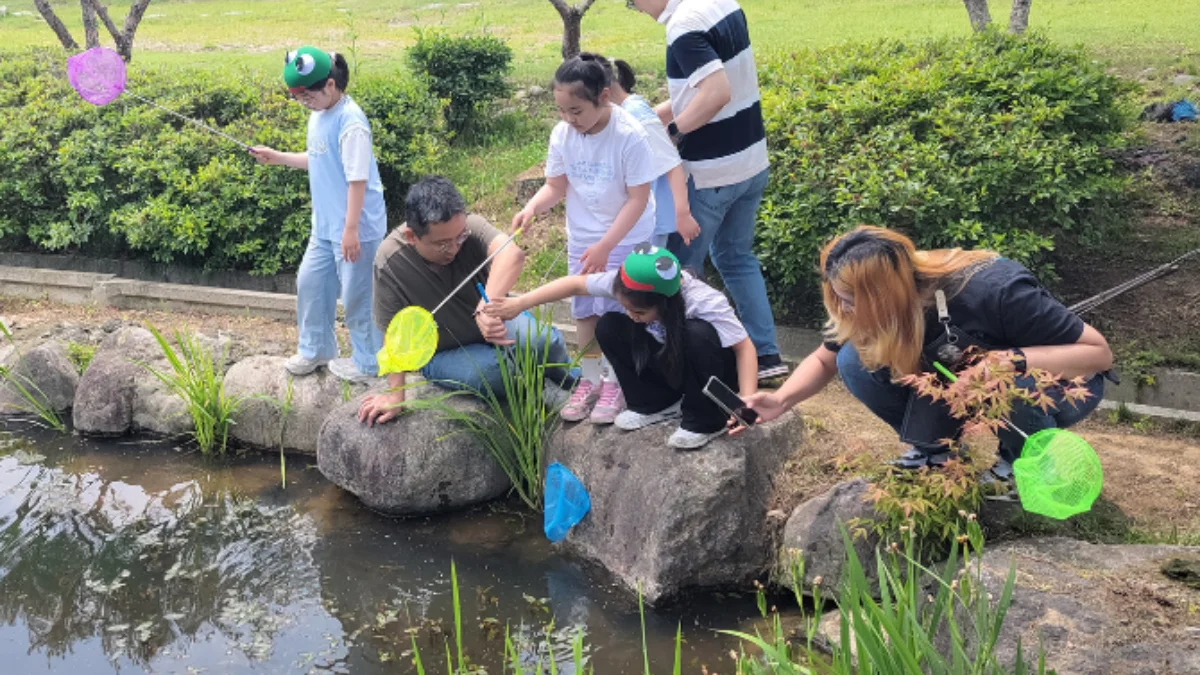 즐기는 방법 4 이미지 1