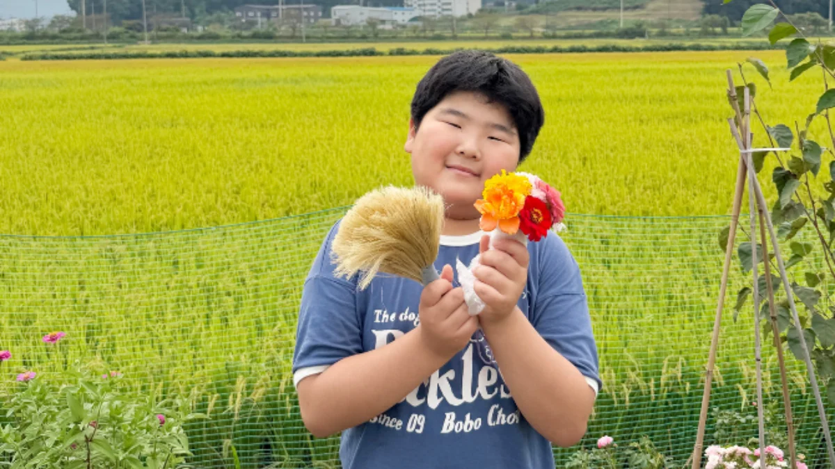 즐기는 방법 1 이미지 1