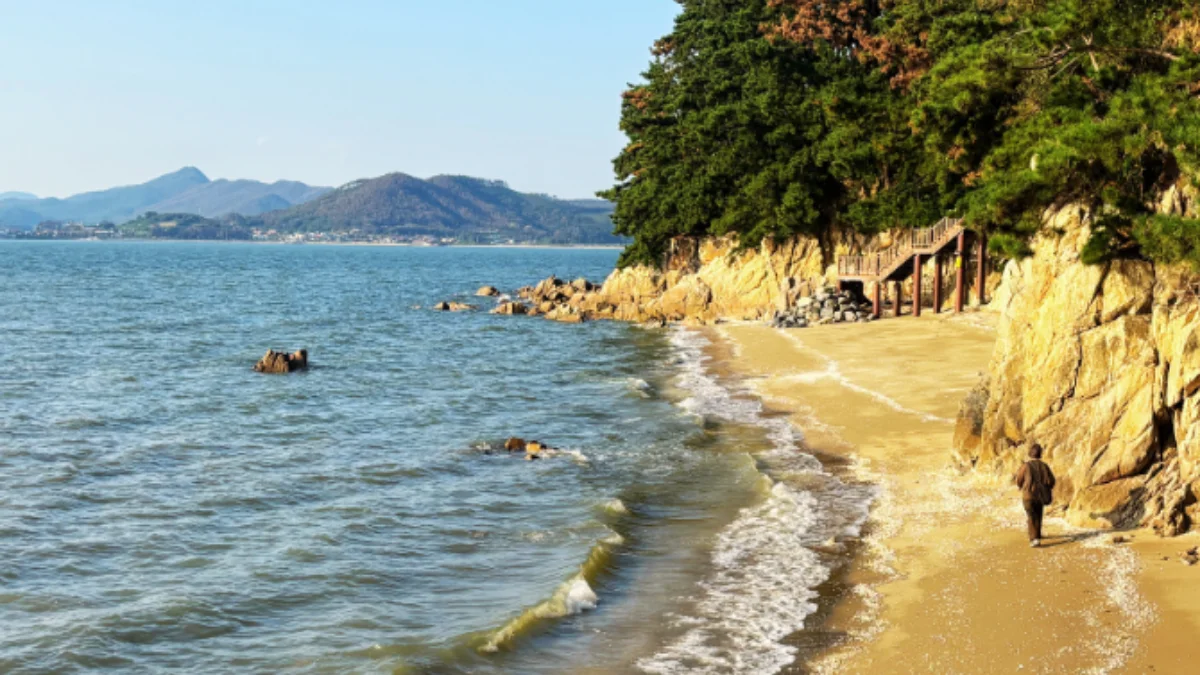 PICK 포인트 3 이미지 1