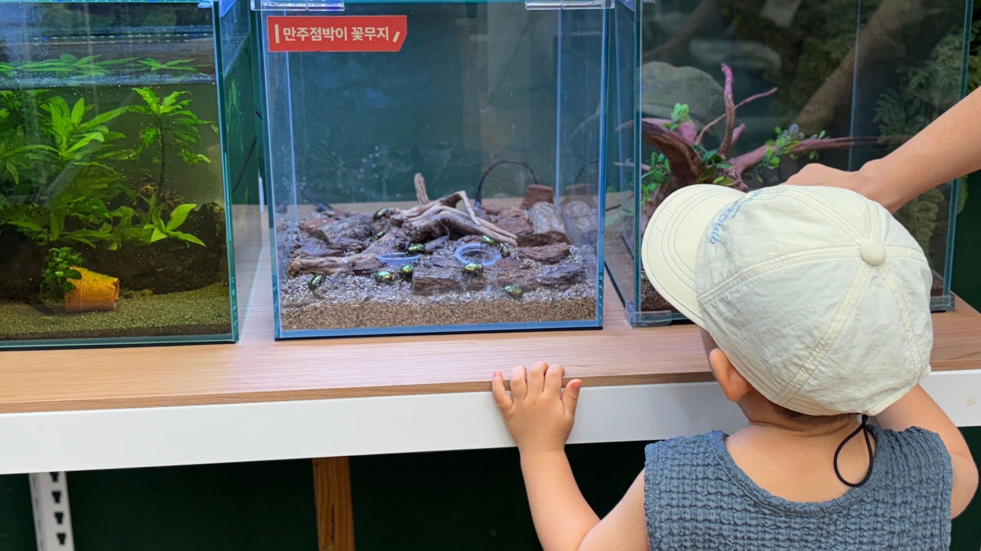 (33% 할인)1인권, 어른/어린이 모두 필수 구매