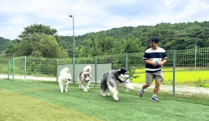 PICK 포인트 3 이미지 1