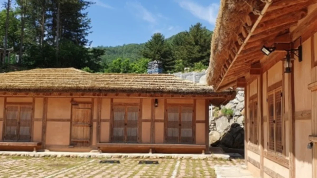 즐기는 방법 2 이미지 1