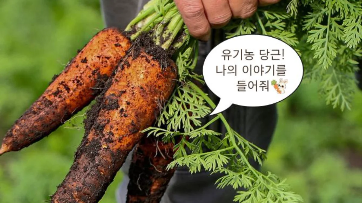즐기는 방법 1 이미지 1