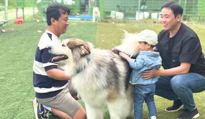 즐기는 방법 2 이미지 1
