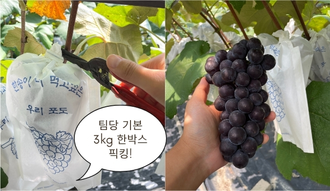 즐기는 방법 1 이미지 1