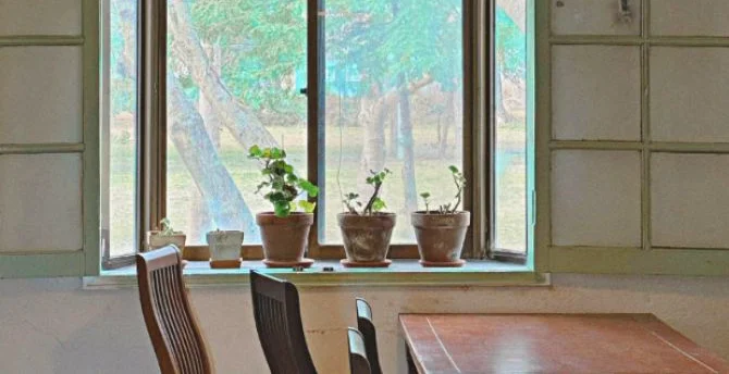 보호자 무료 입장권(1인 / 체험권 구매자만 가능) 