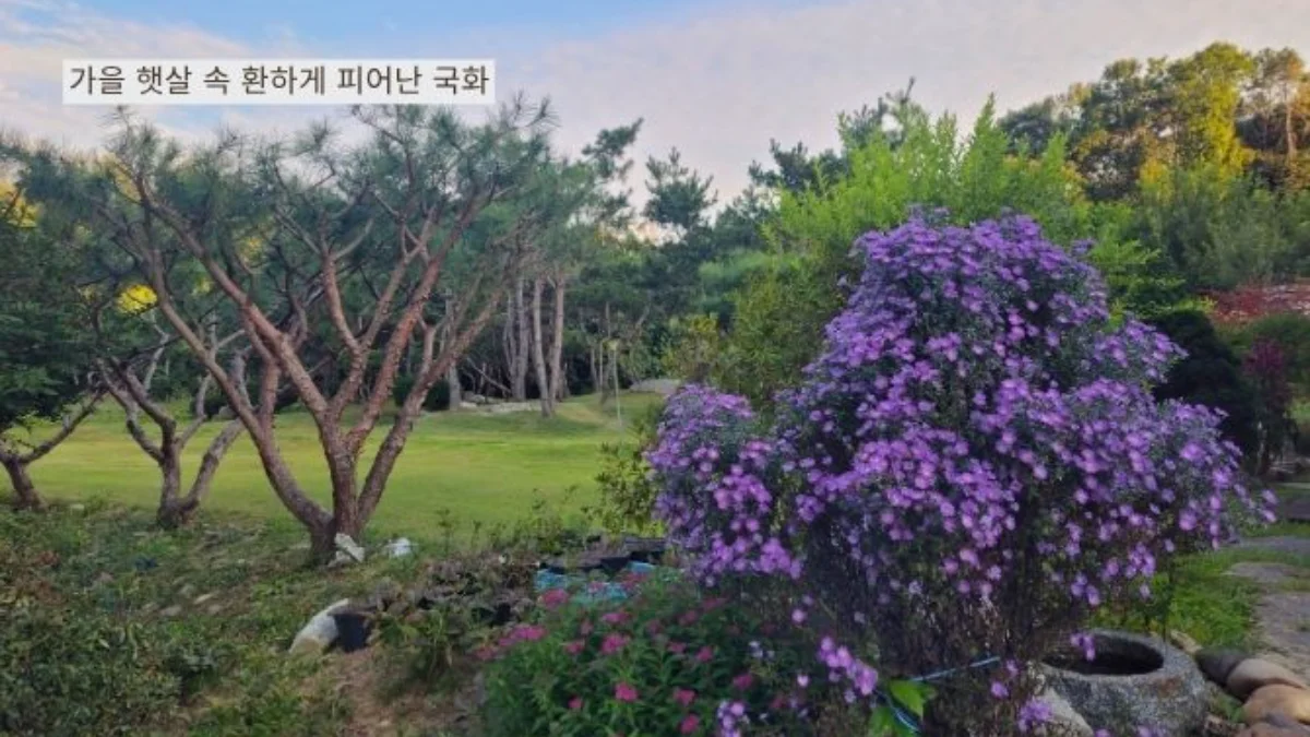 즐기는 방법 5 이미지 1