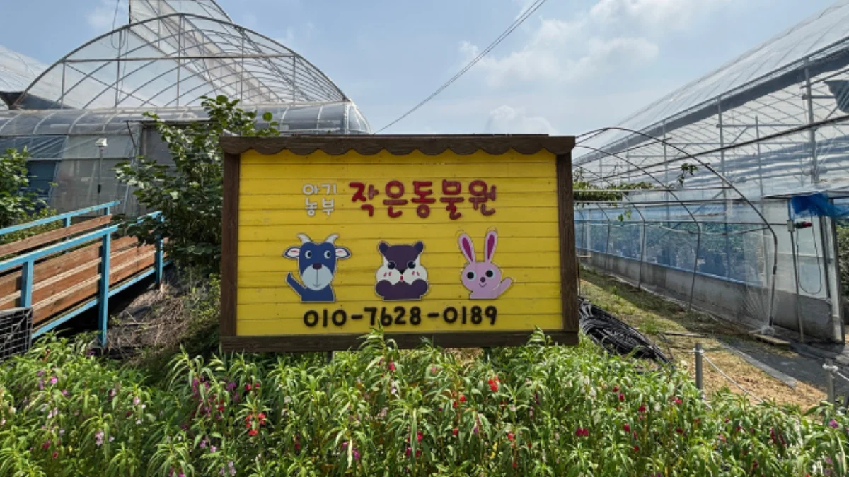 즐기는 방법 2 이미지 2