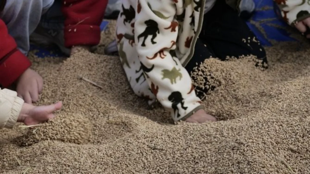 즐기는 방법 2 이미지 1