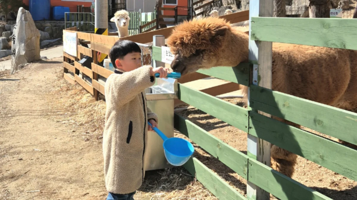 즐기는 방법 3 이미지 2