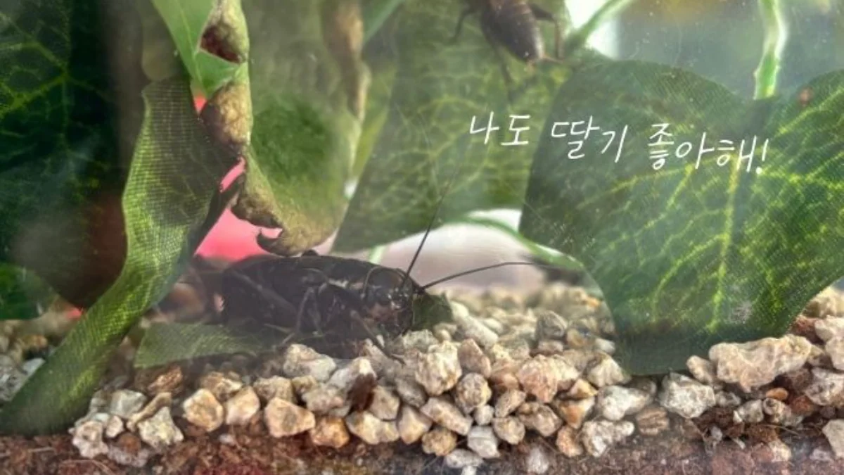 PICK 포인트 3 이미지 1