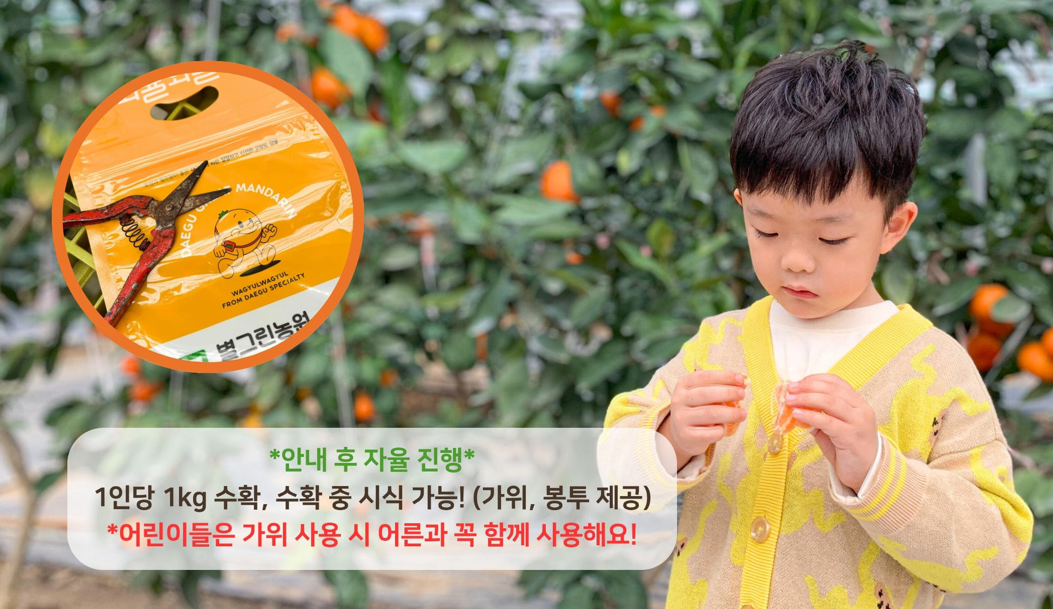 즐기는 방법 1 이미지 2