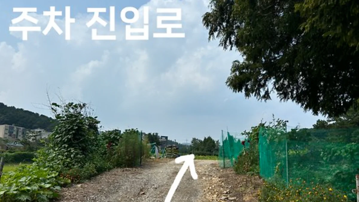 Image 0-0