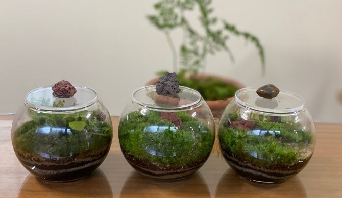 즐기는 방법 4 이미지 1
