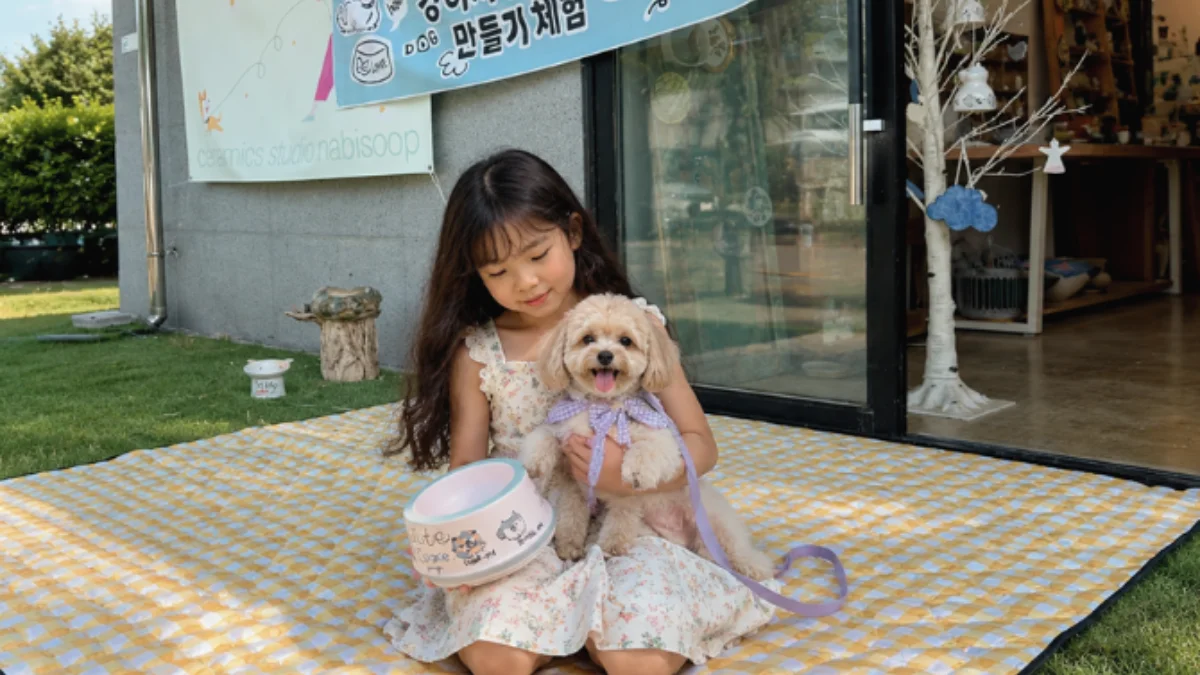 PICK 포인트 2 이미지 1