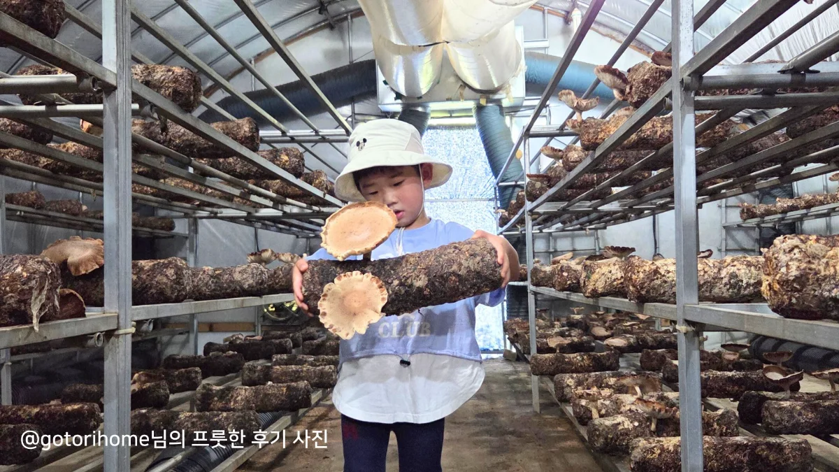 즐기는 방법 1 이미지 1