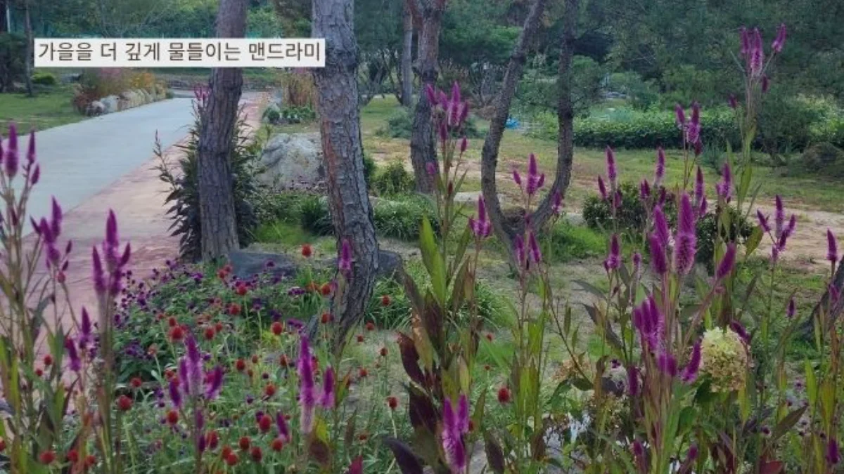즐기는 방법 5 이미지 3