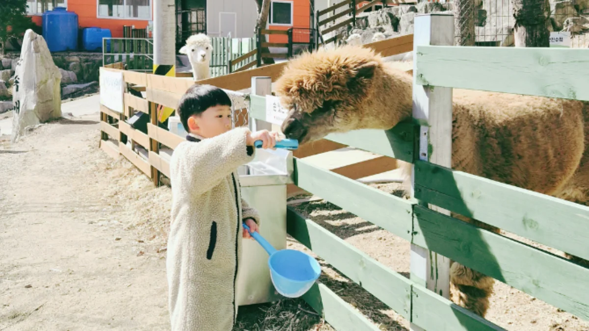 즐기는 방법 2 이미지 2
