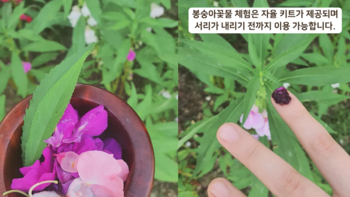 PICK 포인트 2 이미지 1