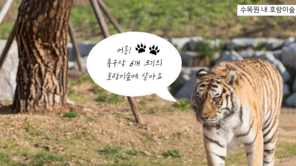 즐기는 방법 2 이미지 4