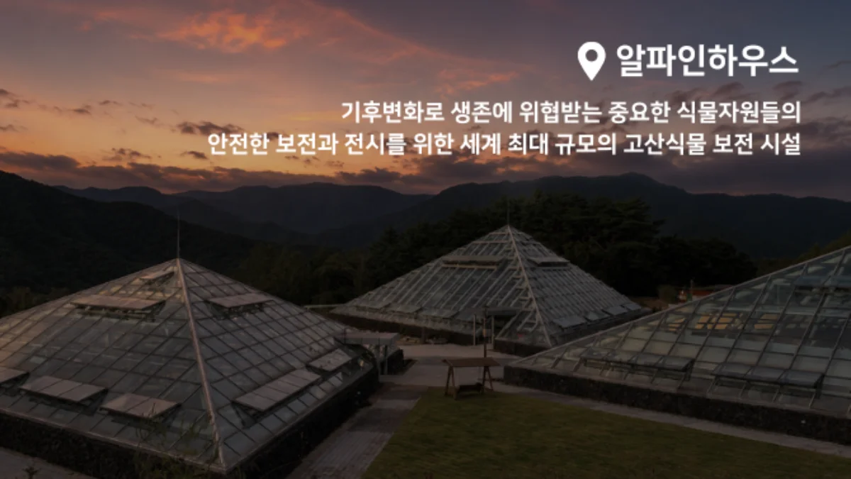 PICK 포인트 1 이미지 2