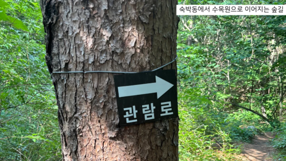 즐기는 방법 1 이미지 2
