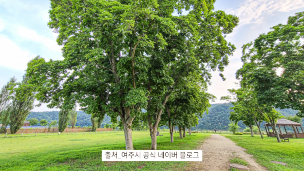 즐기는 방법 3 이미지 2