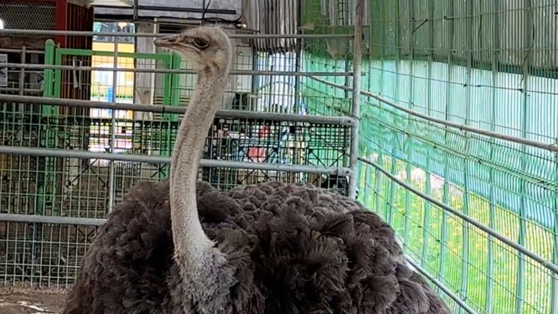 즐기는 방법 2 이미지 3