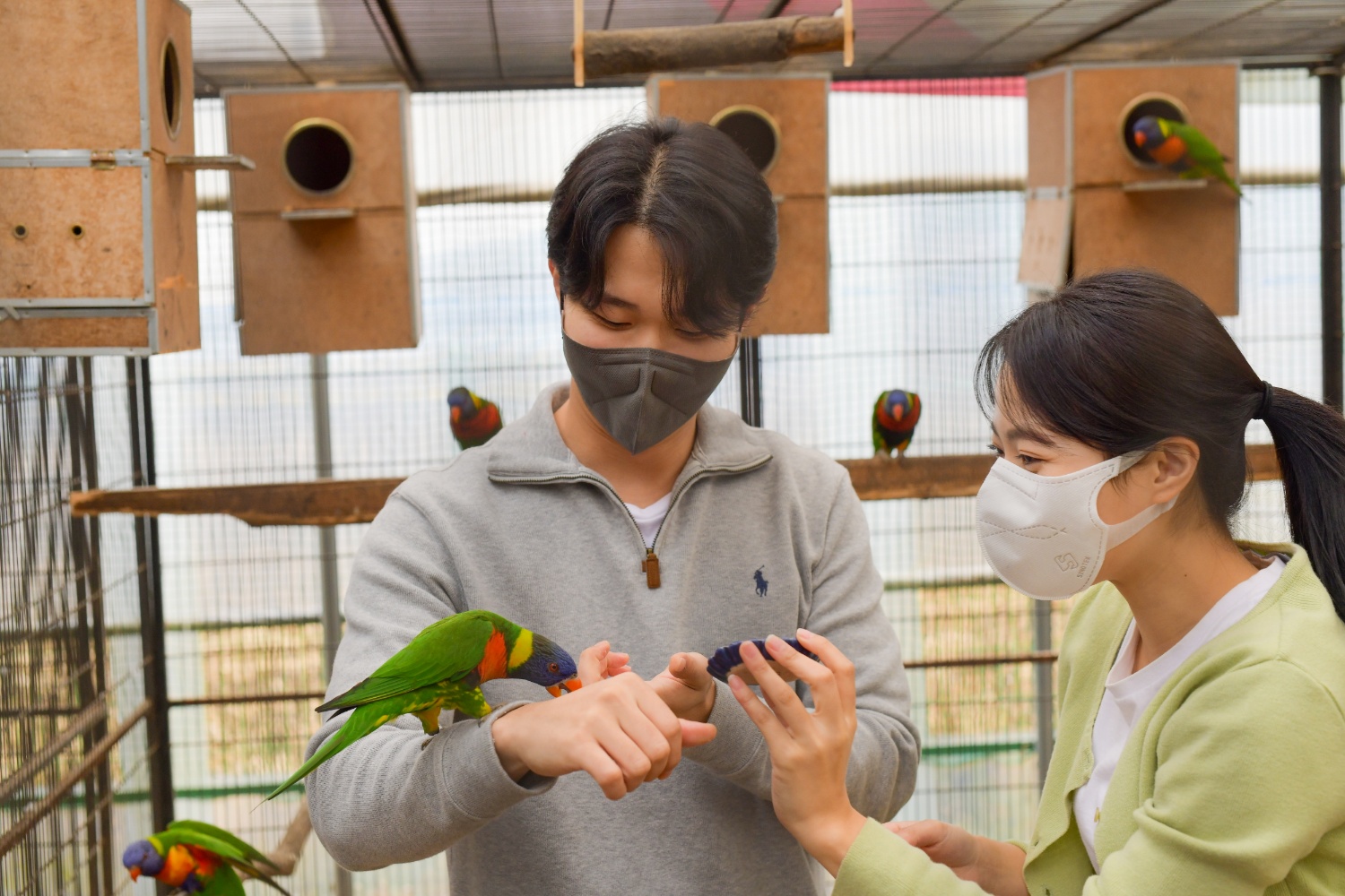즐기는 방법 1 이미지 2